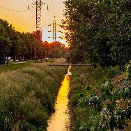 Oasis Of Green Streamside Relaxation *